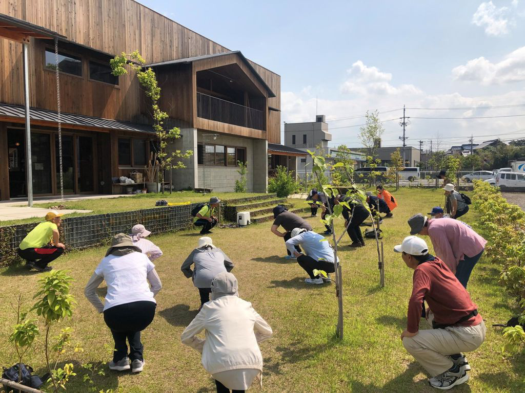 最新治疗园，重塑健康之梦的地方