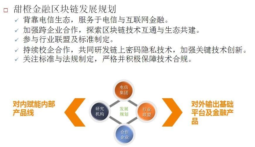 新奥天天免费资料大全,重要性解释落实方法_CT43.982