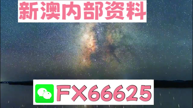 新澳天天彩免费资料大全查询,正确解答落实_VR63.693