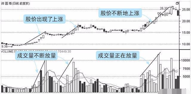 2024澳门天天开好彩大全开奖记录走势图,涵盖广泛的说明方法_试用版66.348