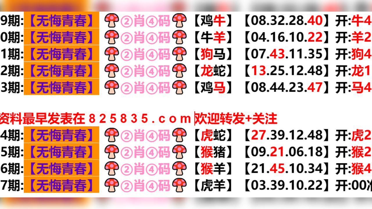 2024年新奥门天天开彩,实用性执行策略讲解_豪华版6.23