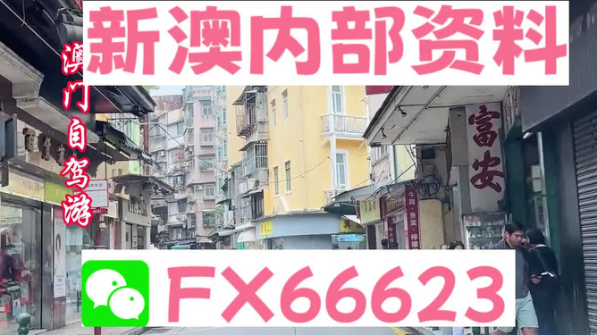 新澳精准资料,经典解释落实_VIP84.837