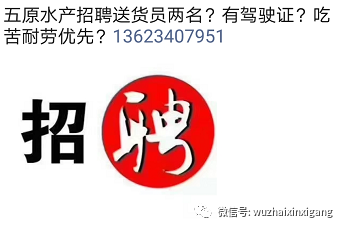 宜章信息港最新招聘，职业发展的理想探索平台