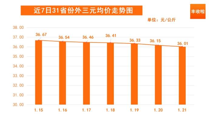 最新猪价行情走势分析与预测