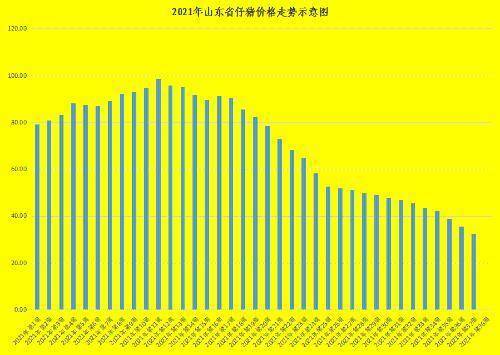 青州市生猪最新价格动态分析简报