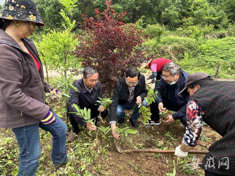 青阳网新闻最新消息综述概览